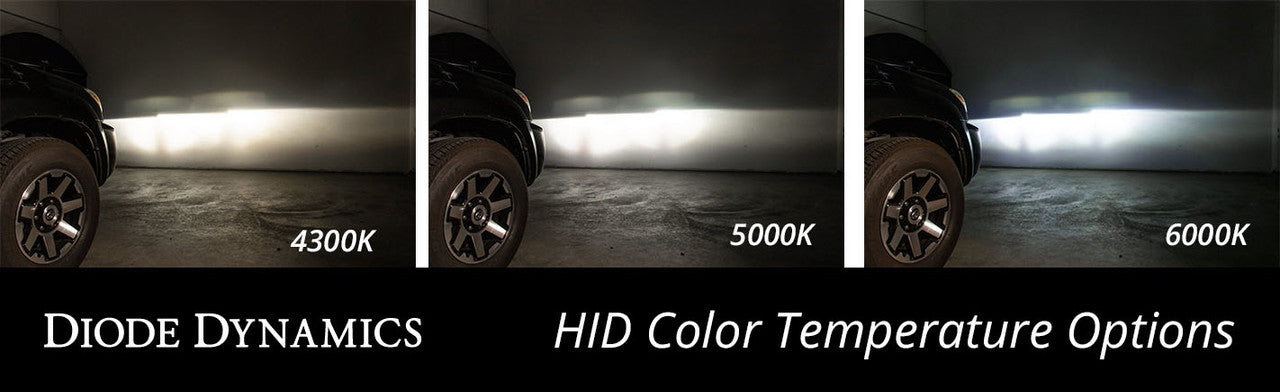 Diode Dynamics Replacement OEM HID Bulbs for 2017-2018 Kia Forte5 Pair 4300K - Apollo Off-Road