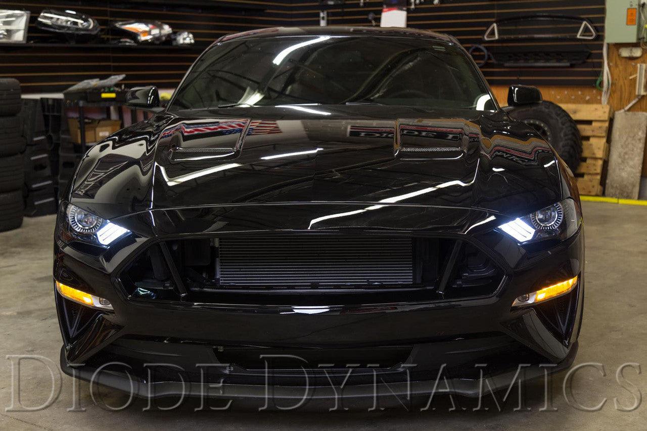 Diode Dynamics Switchback DRL LED Boards for 2018-2021 EU-AU Ford Mustang - Apollo Off-Road