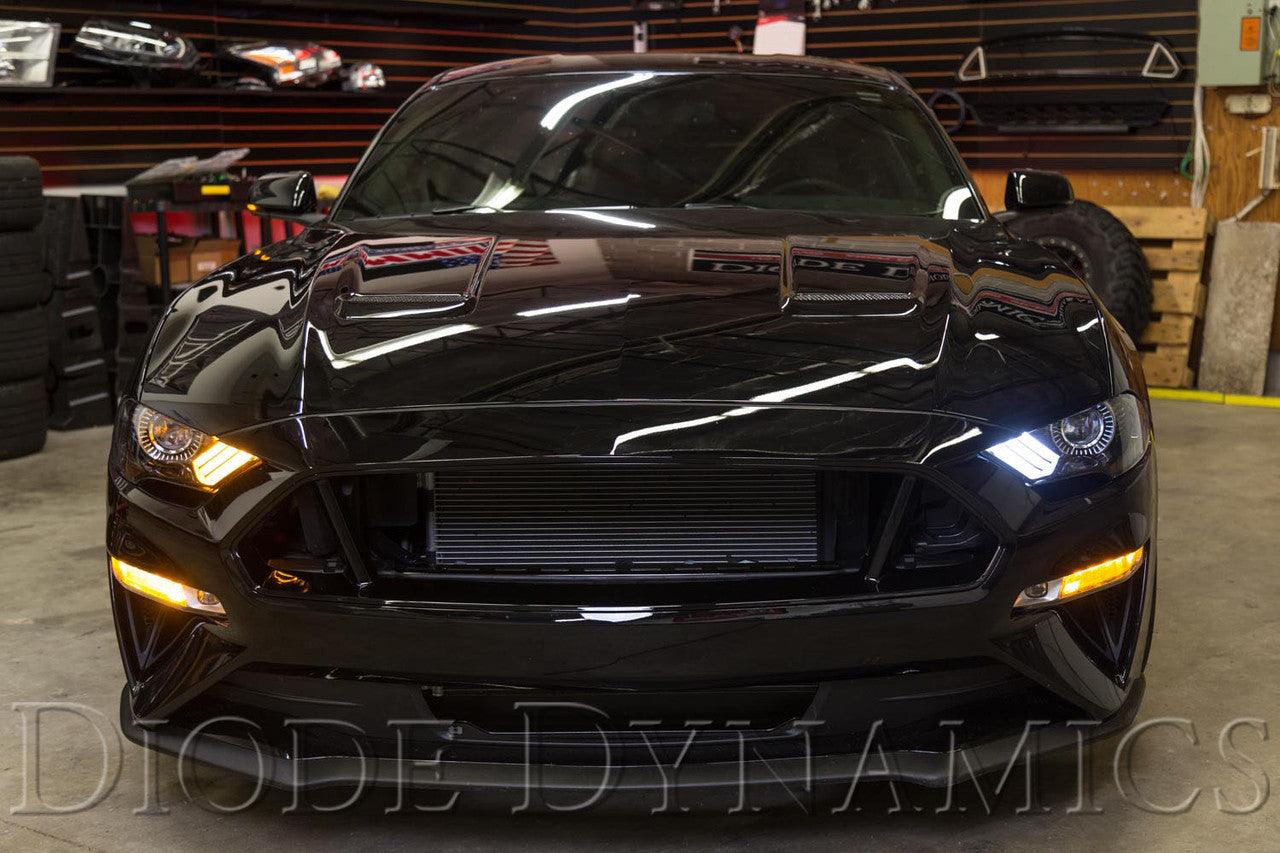 Diode Dynamics Switchback DRL LED Boards for 2018-2021 EU-AU Ford Mustang - Apollo Off-Road