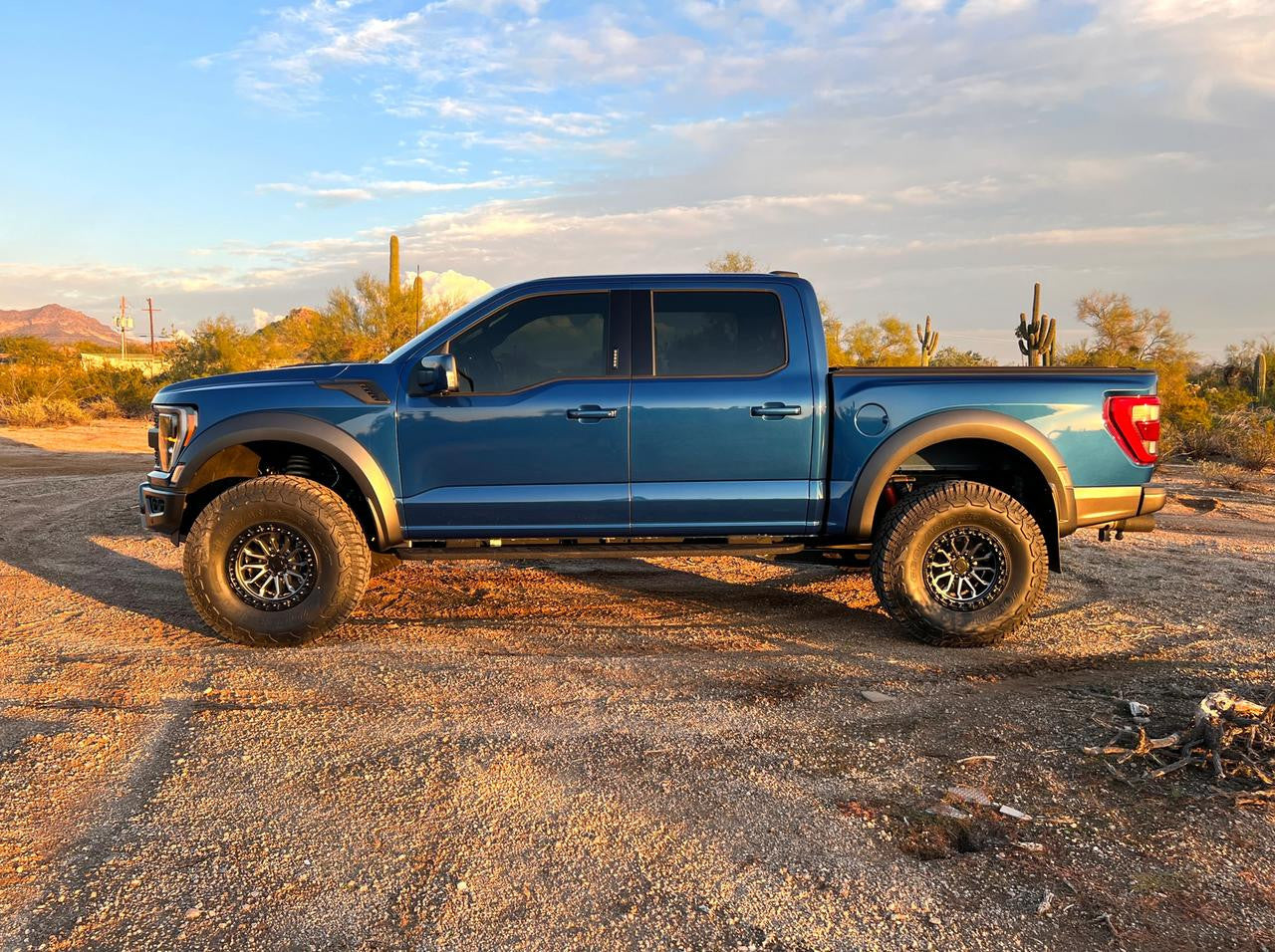 Geiser Springs for Gen 3 Ford Raptor - Apollo Off-Road