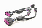 Morimoto Conversion Harness: Ram OEM Projector Headlights (13-18) (EACH) - Apollo Off-Road