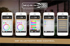 Morimoto Rock Light Kit (4-6-8) - Apollo Off-Road