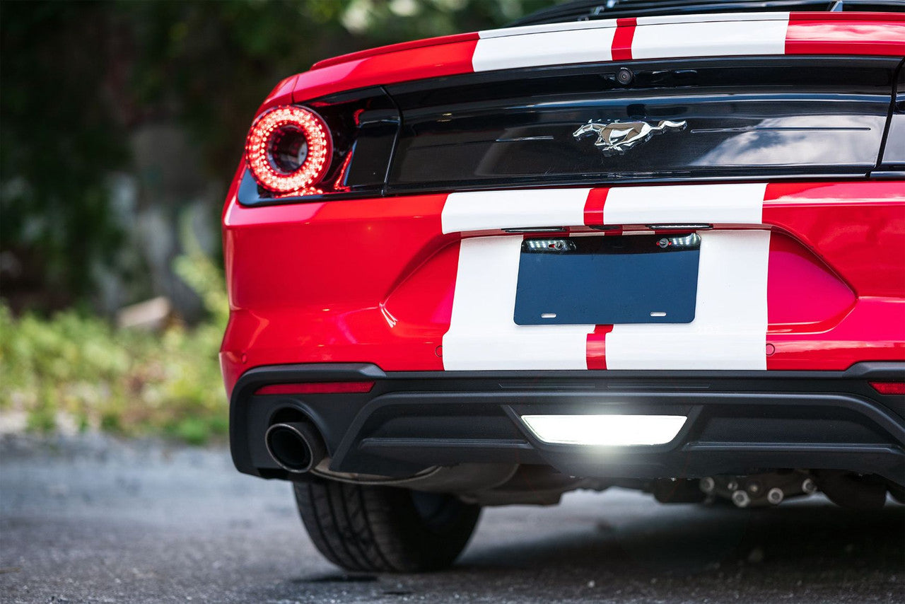 Morimoto XB License Plate Lights: Ford Mustang (15-20 - Pair) - Apollo Off-Road