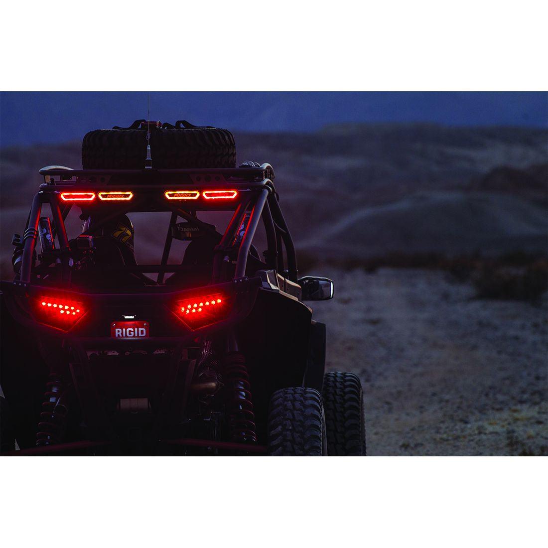 RIGID Industries Chase, Rear Facing 5 Mode LED Light, Blue Halo, Black Housing - Apollo Off-Road